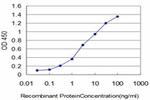 FLT4 Antibody in ELISA (ELISA)