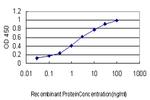 FMR1 Antibody in ELISA (ELISA)