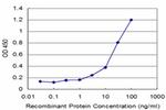 FNTB Antibody in ELISA (ELISA)