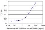 FOS Antibody in ELISA (ELISA)