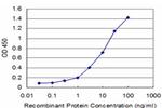 FOSL2 Antibody in ELISA (ELISA)