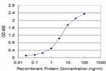 FXN Antibody in ELISA (ELISA)