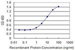 FUT5 Antibody in ELISA (ELISA)