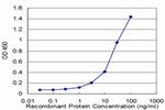 GAPDH Antibody in ELISA (ELISA)