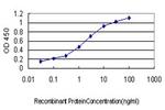 GATA2 Antibody in ELISA (ELISA)