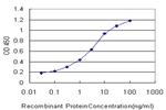 GATA2 Antibody in ELISA (ELISA)