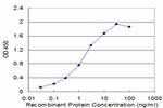 GATA3 Antibody in ELISA (ELISA)