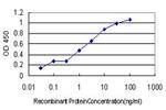 GCH1 Antibody in ELISA (ELISA)