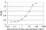 GCHFR Antibody in ELISA (ELISA)