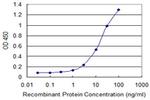 GJB1 Antibody in ELISA (ELISA)