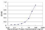 GJB1 Antibody in ELISA (ELISA)