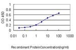 GCLC Antibody in ELISA (ELISA)