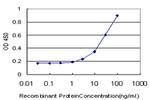 GLI3 Antibody in ELISA (ELISA)