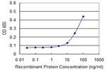 GLRA1 Antibody in ELISA (ELISA)