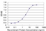 GLRA1 Antibody in ELISA (ELISA)