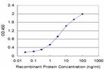 GLRA1 Antibody in ELISA (ELISA)