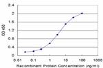 GLRA1 Antibody in ELISA (ELISA)