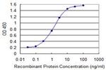 GLS Antibody in ELISA (ELISA)