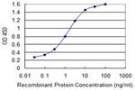 GLS Antibody in ELISA (ELISA)