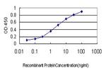 GNG4 Antibody in ELISA (ELISA)