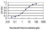 GNGT2 Antibody in ELISA (ELISA)