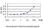 GPR3 Antibody in ELISA (ELISA)