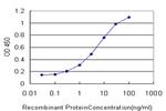 GRK6 Antibody in ELISA (ELISA)