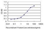 MKNK2 Antibody in ELISA (ELISA)