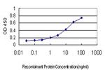 NR3C1 Antibody in ELISA (ELISA)