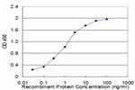 GRM5 Antibody in ELISA (ELISA)