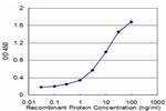 GRM5 Antibody in ELISA (ELISA)