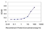 GSK3B Antibody in ELISA (ELISA)