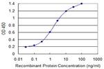 GSTM2 Antibody in ELISA (ELISA)