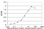 GSTP1 Antibody in ELISA (ELISA)