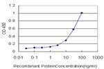 MSH6 Antibody in ELISA (ELISA)