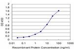 GTF2H1 Antibody in ELISA (ELISA)