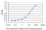 GUCY2C Antibody in ELISA (ELISA)