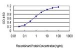 HARS Antibody in ELISA (ELISA)