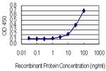 HARS Antibody in ELISA (ELISA)