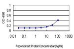 HCK Antibody in ELISA (ELISA)