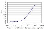 HD Antibody in ELISA (ELISA)