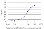 HDAC1 Antibody in ELISA (ELISA)