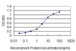 HDAC1 Antibody in ELISA (ELISA)