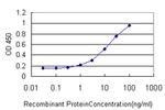 HDAC1 Antibody in ELISA (ELISA)