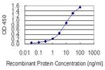 HELLS Antibody in ELISA (ELISA)