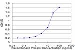 HIP1 Antibody in ELISA (ELISA)