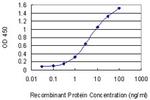 UBE2K Antibody in ELISA (ELISA)