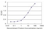 HK2 Antibody in ELISA (ELISA)