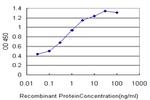 FOXA1 Antibody in ELISA (ELISA)