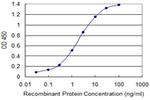 FOXA3 Antibody in ELISA (ELISA)